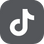 TikTok Icon