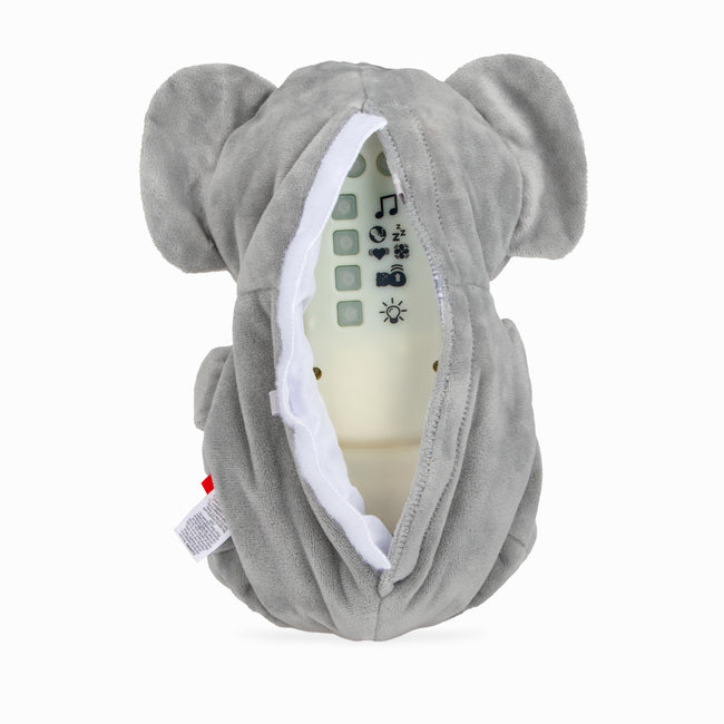 Motion & Sound Plush - Nuby US