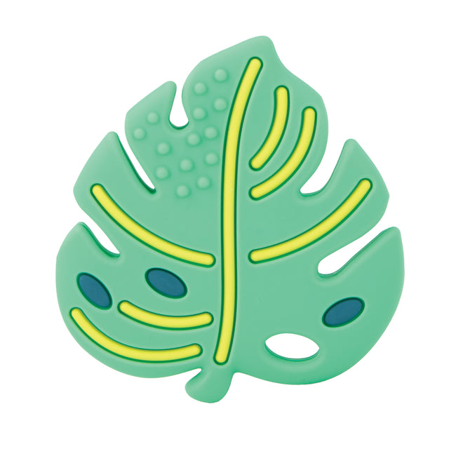 Silicone Teether with Pacifinder - Leaf - Nuby US
