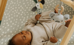 5 Best Teething Toys for Babies: Our Favorite Teethers | Nuby US 5 Best Teething Toys for Babies: Our Favorite Teethers | Nuby US