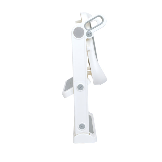 summer infant 2 in 1 potty topper All-in-One Potty Seat Topper with Ladder
