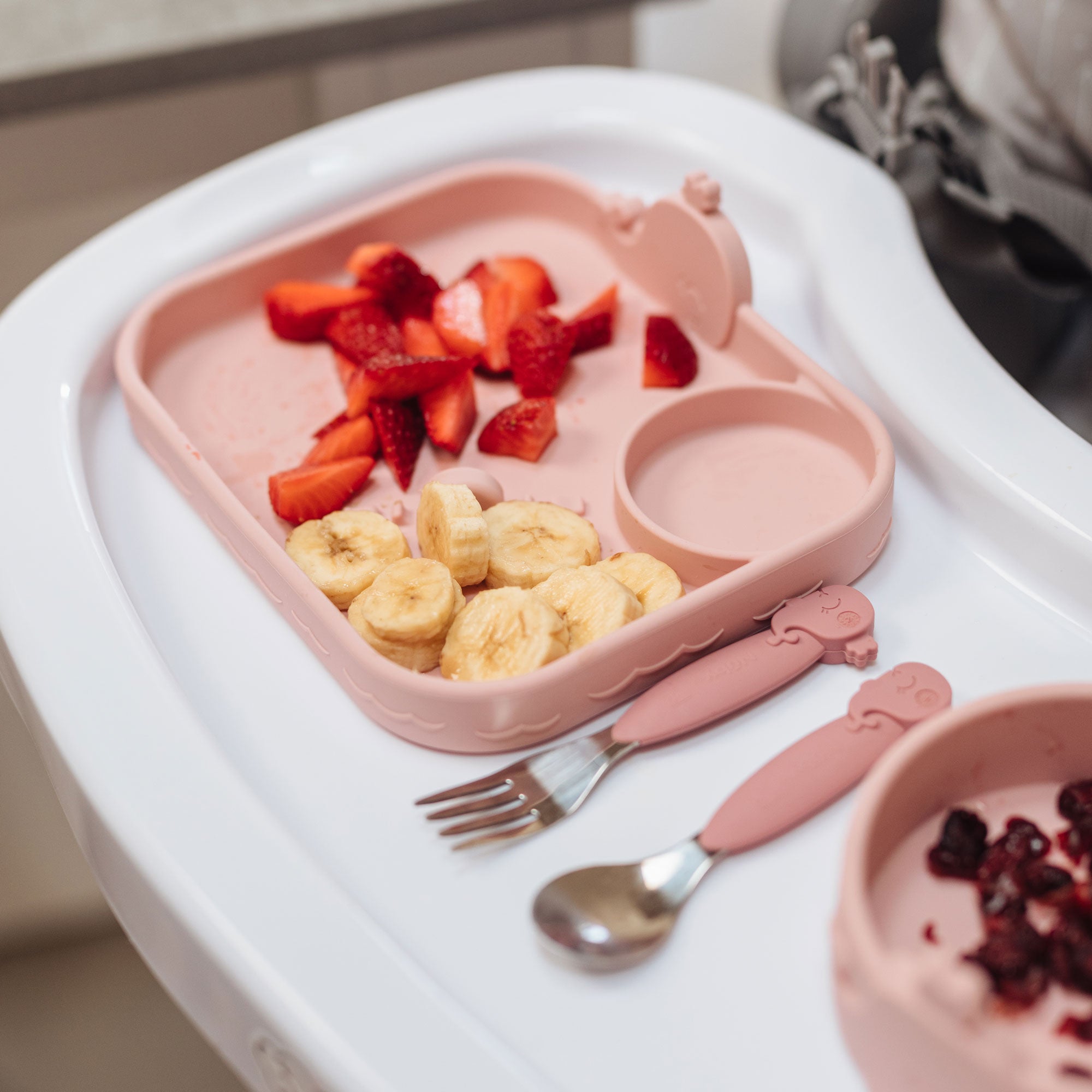 Animal Friends All Silicone Tray