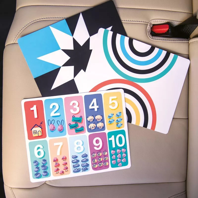 Safe in the Seat Car Seat Protector