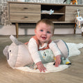 Animal Adventures Tummy Time Pillow