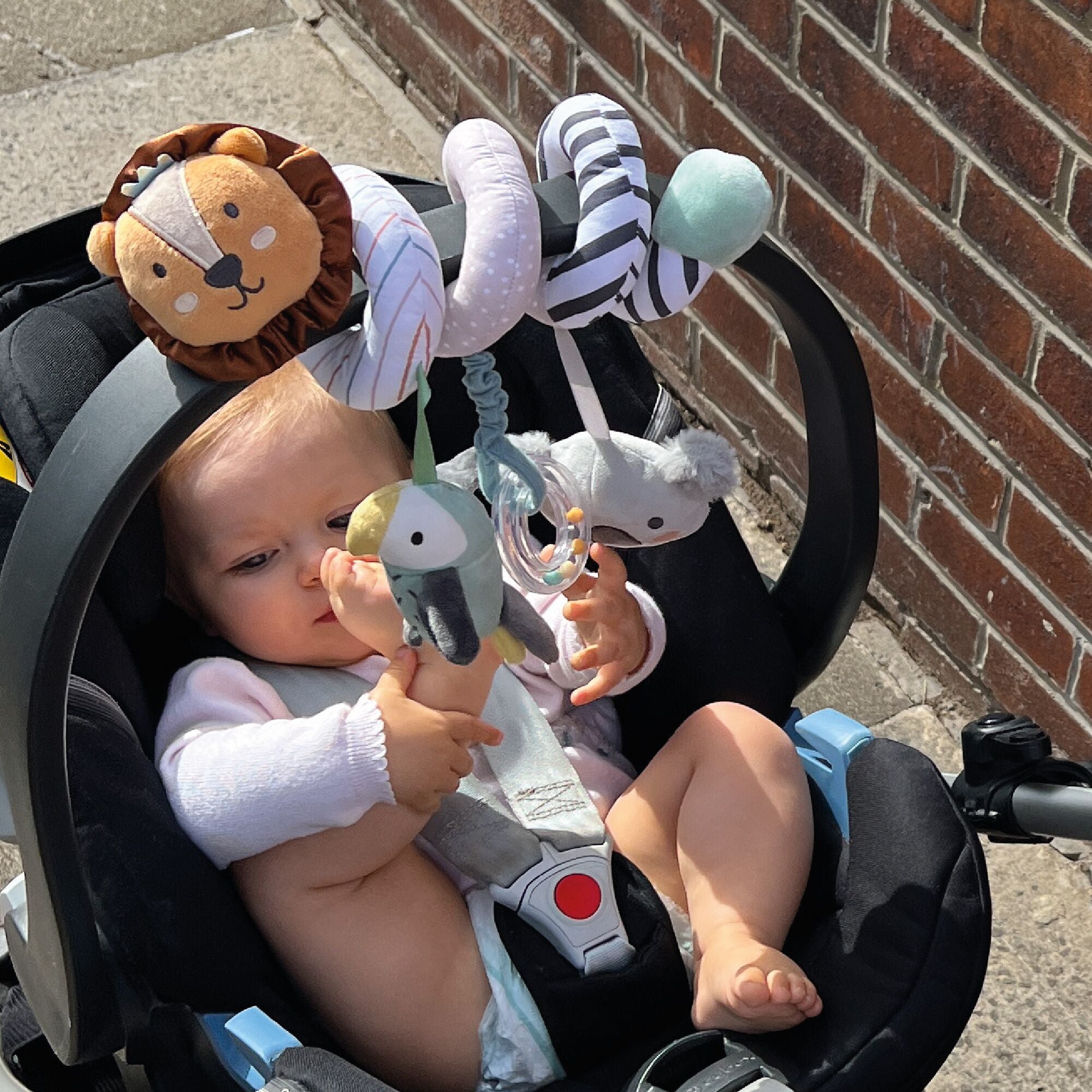 A baby sits in a car seat outdoors, playing with the Animal Adventures Spiral Activity Toy | Safari, which features stuffed animals like a lion, koala, and bird. Sunlight casts soft shadows as they explore this engaging developmental toy.