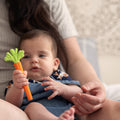 A baby sits on an adult’s lap, reaching for the green and orange carrot-shaped teether from the One & Done Bunny Basket Bundle by Nuby US, while the adult gently supports during this sweet moment of sensory play.