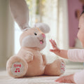 Bunny Basket Playtime Bundle