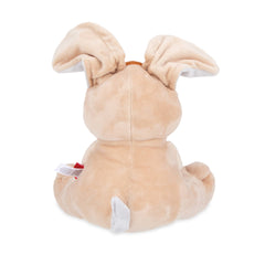 Peek-a-Boo Plush Motion Toy - Rabbit - Nuby US