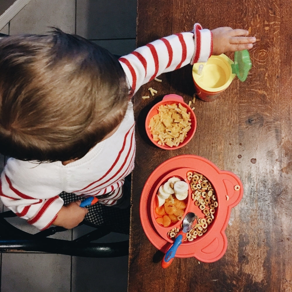 Sure Grip Suction Bowl - Nuby US