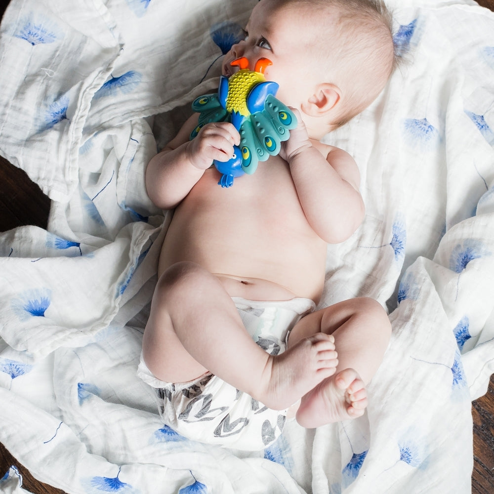 Squeezy Teethe Rubber Teether - Nuby US