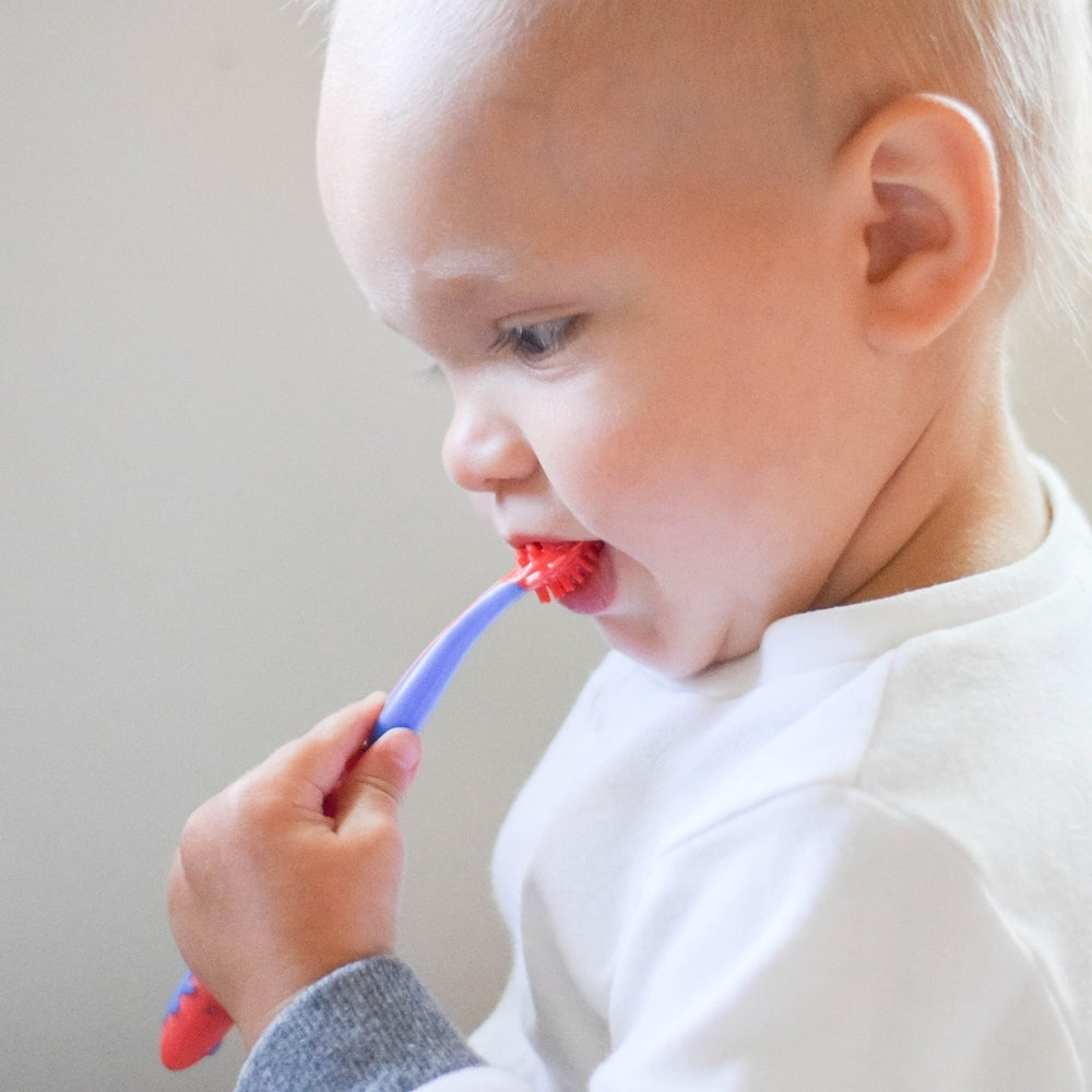 Nuby sales teething brush