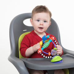 Silly Spinwheel - Nuby US