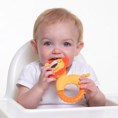 Ring-A-Round Rattle Teether - Nuby US